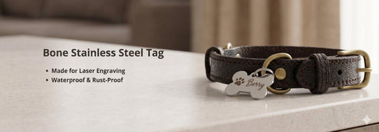 Personalized Dog Tag | Custom Engraved Bone-Shaped Pet ID Tag | Stainless Steel